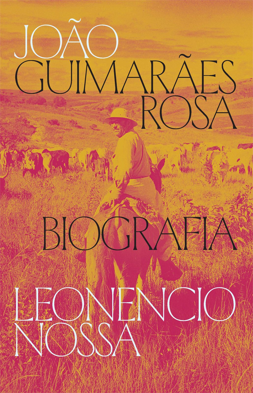 Capa de João Guimarães Rosa: biografia