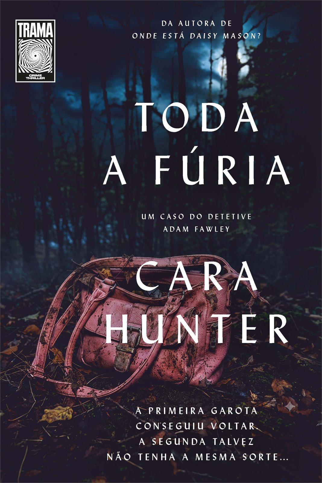 Capa de Toda a Fúria