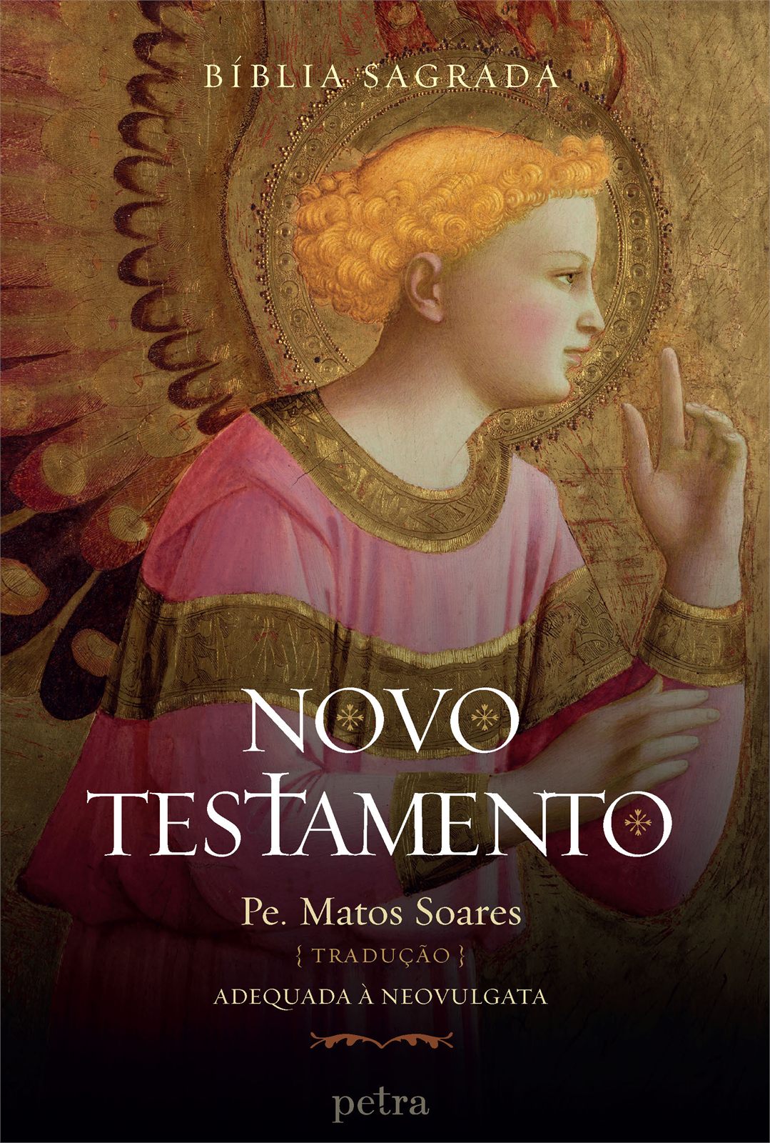 Capa de Box Bíblia Sagrada: Novo Testamento