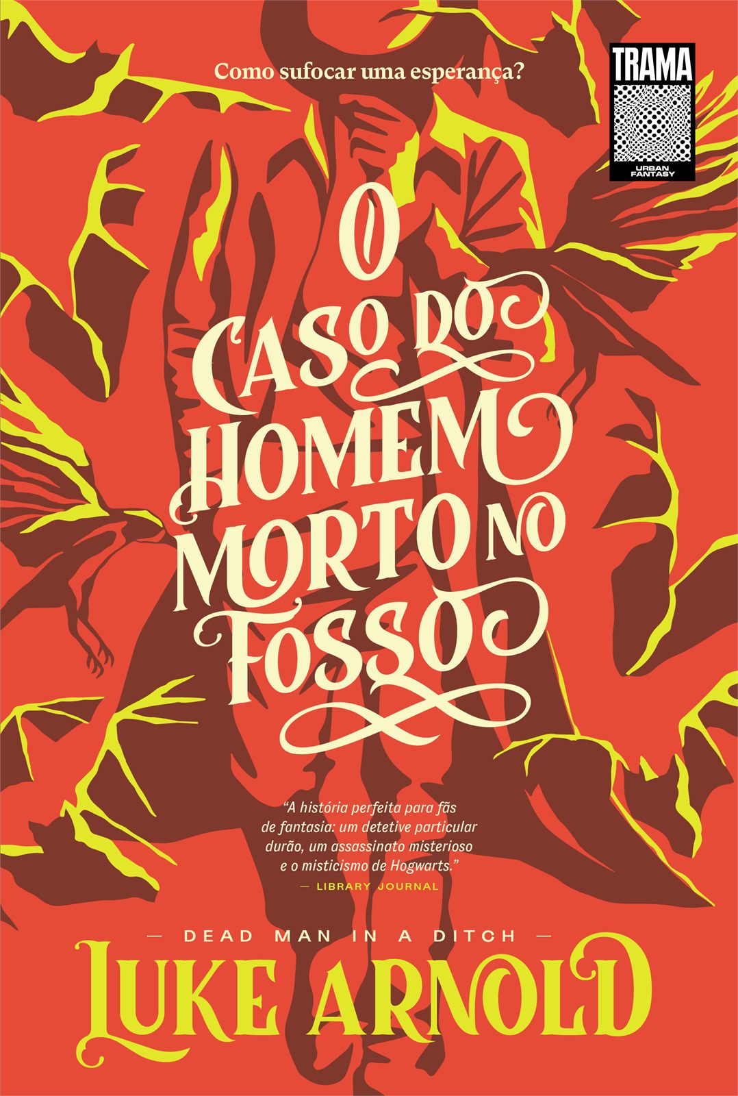 Capa de O Caso do Homem Morto No Fosso